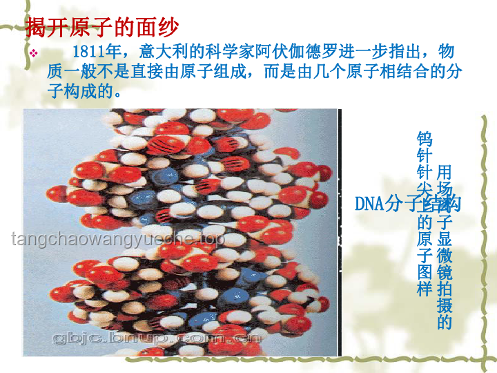 发明魔芋食用与加工方法前辈的历程探索